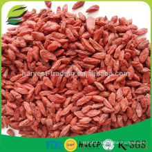 100% ningxia origin goji berry seed